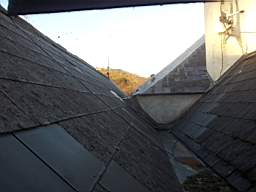 fkillineybeforeexternal 1430.jpg